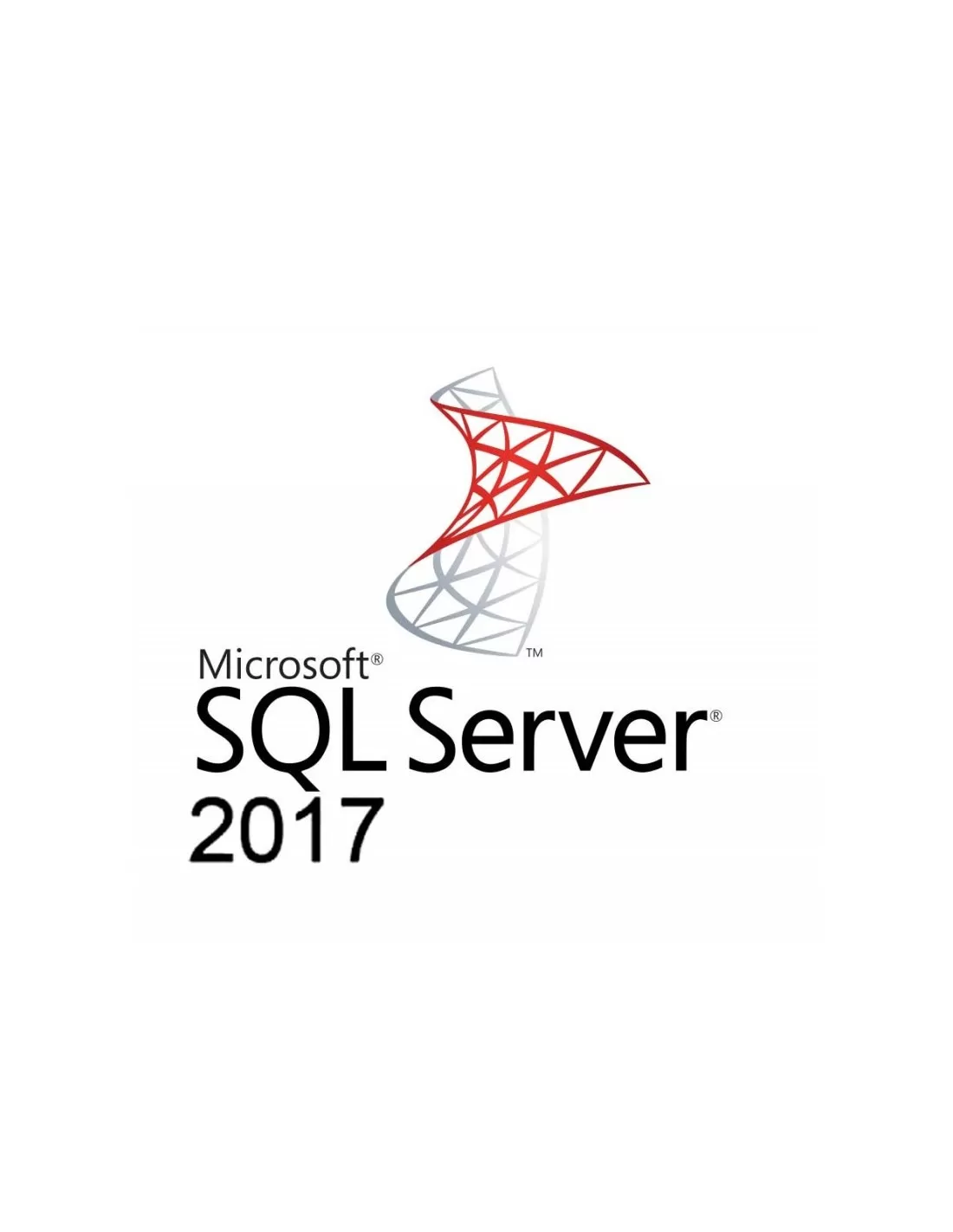 Microsoft SQL Server Standard 2017 OLP (228-11135)